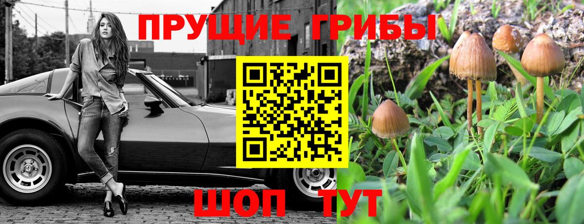 Петрозаводск  Галлюциногенные грибы Magic Shrooms  Вход с VPN 